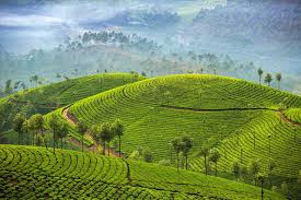 Why Kerala is Called God’s Own Country – A Complete Travel Guide